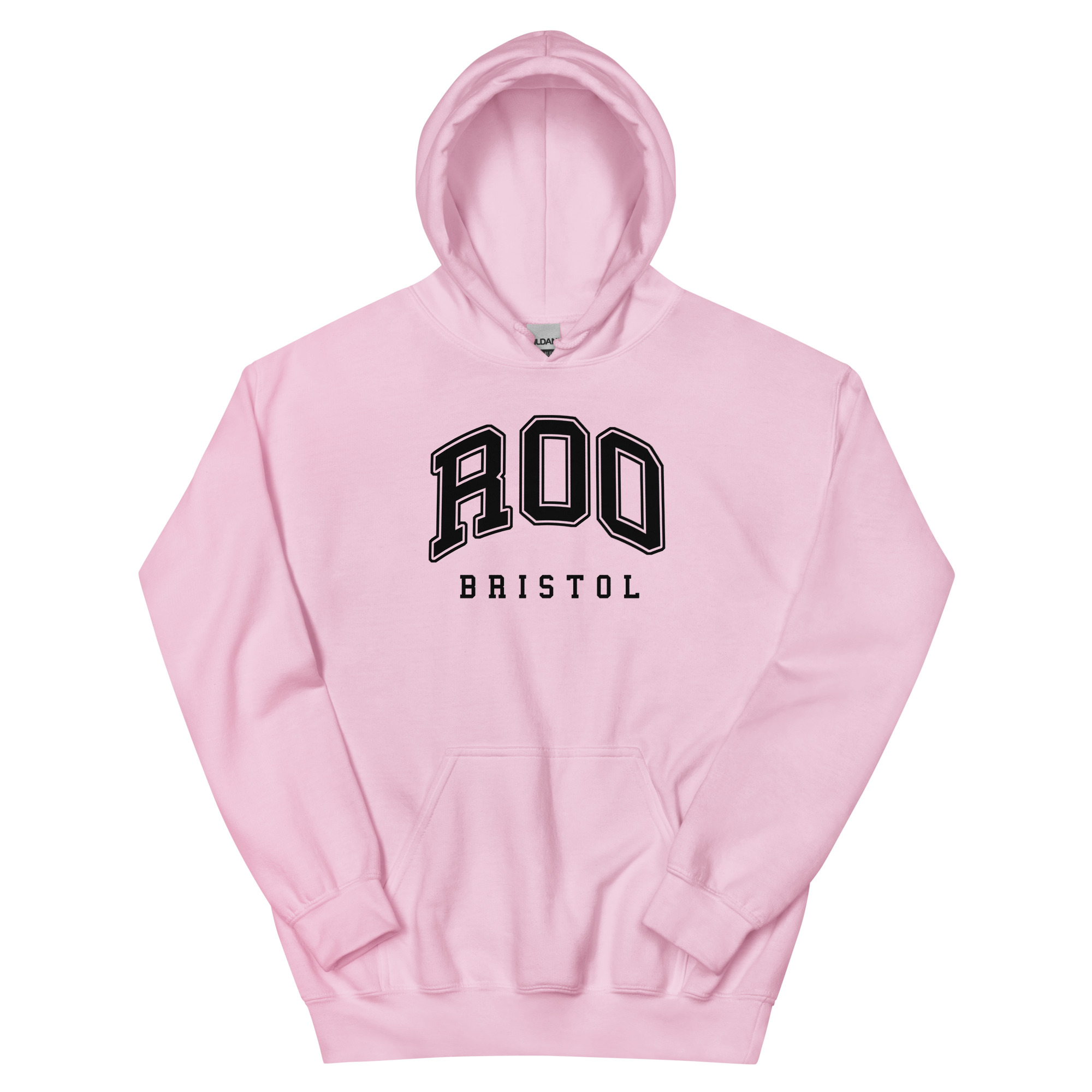 unisex-heavy-blend-hoodie-light-pink-front-65370cc3db822.jpg